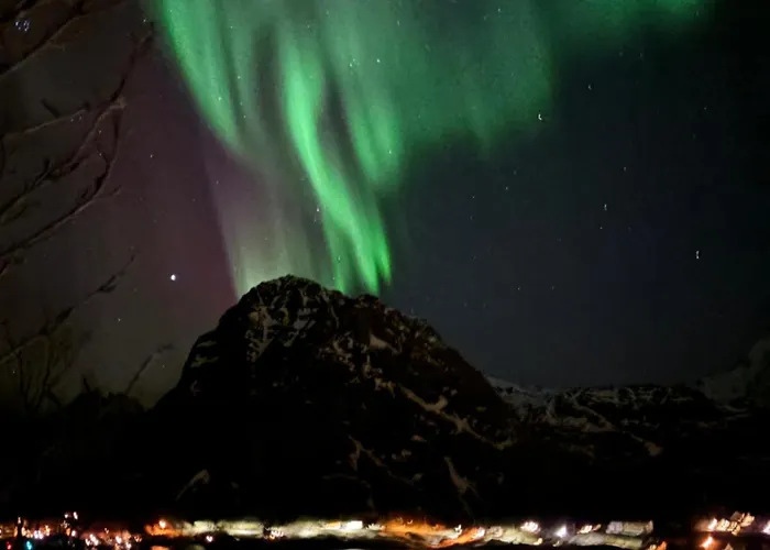 Buodden Rorbuer - Fisherman * Sørvågen